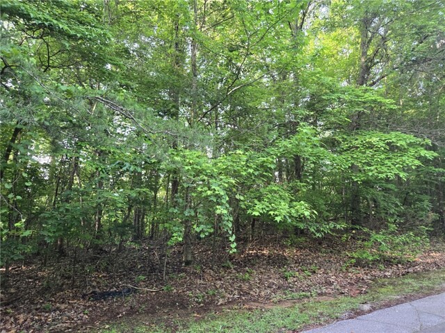 Photo of Lot 356 E Laurel Drive