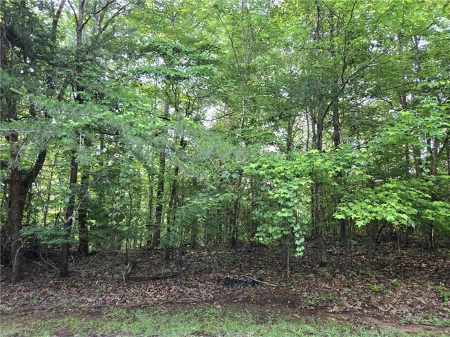 Photo of Lot 356 E Laurel Drive