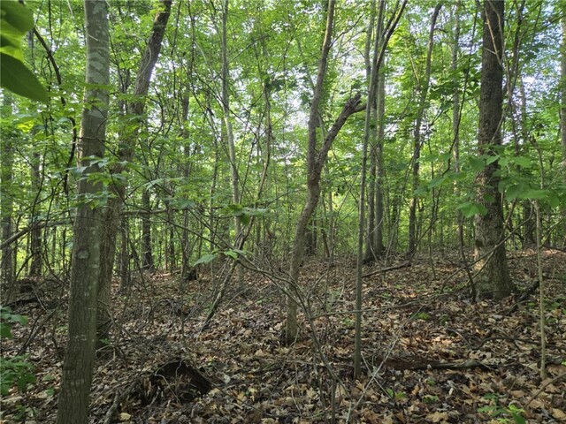 Photo of Lot 356 E Laurel Drive