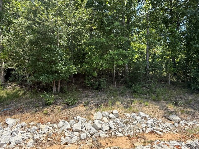 Photo of Lot 12 S Towson Trail