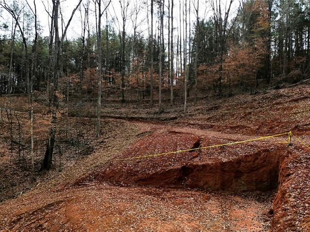 Photo of 207 Loblolly Pine Drive