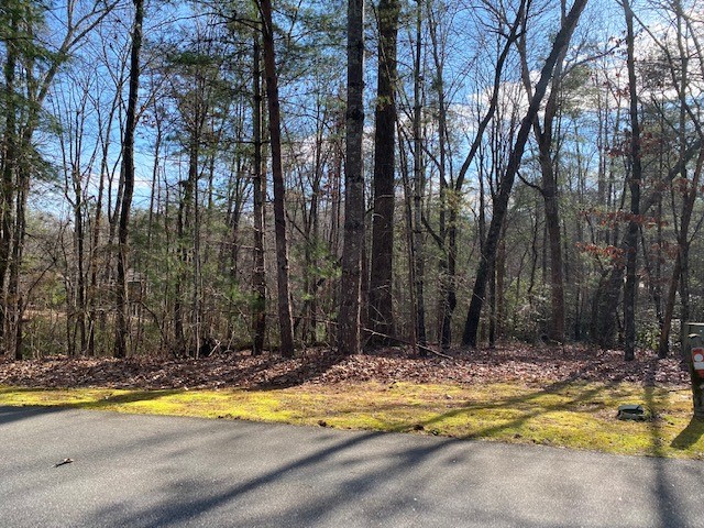 Photo of Lot 39 Turtlehead Drive