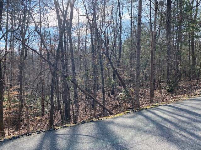 Photo of Lot 39 Turtlehead Drive
