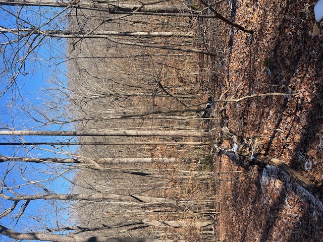 Photo of 0 N Sundew Drive