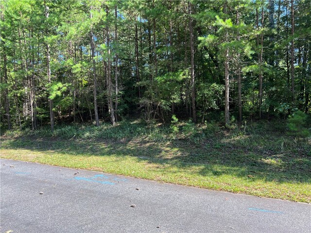 Photo of 20 Vineyard Park