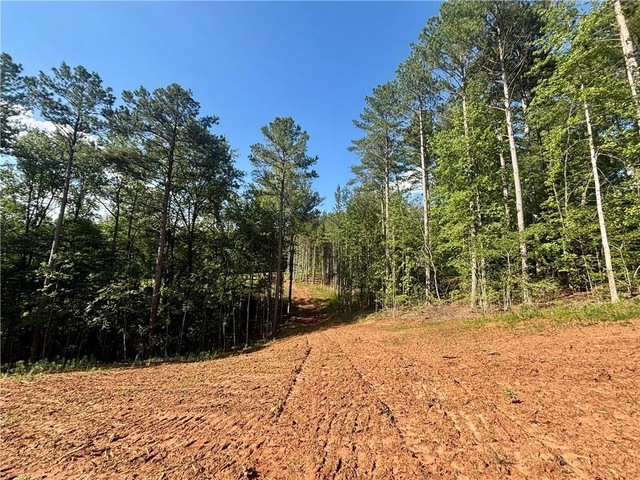 Photo of 304 View South Trail