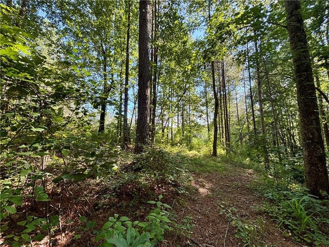 Photo of 304 View South Trail