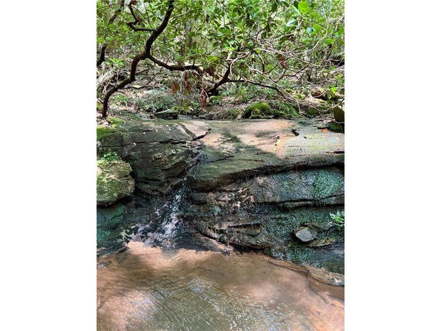 Photo of 304 View South Trail