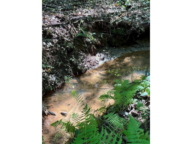 Photo of 304 View South Trail