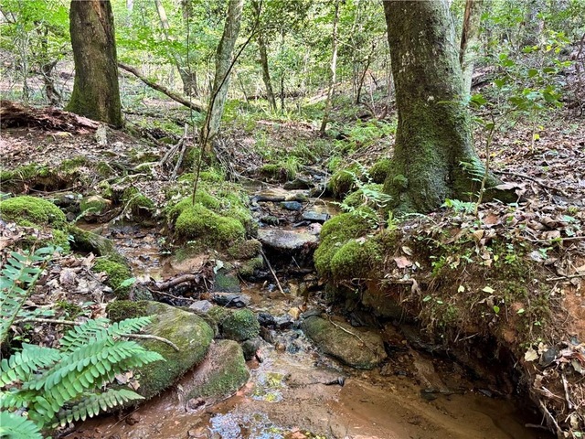 Photo of 304 View South Trail