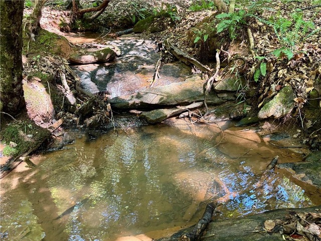 Photo of 304 View South Trail