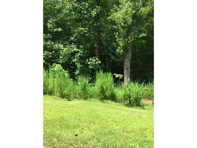 Photo of 0 Lot 1660,1661 Point Road