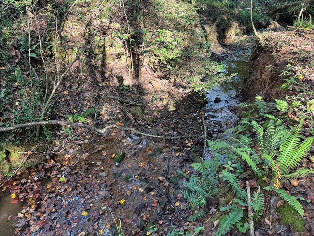 Photo of 499 Acker Road