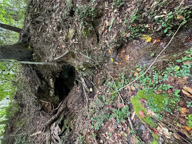 Photo of 499 Acker Road