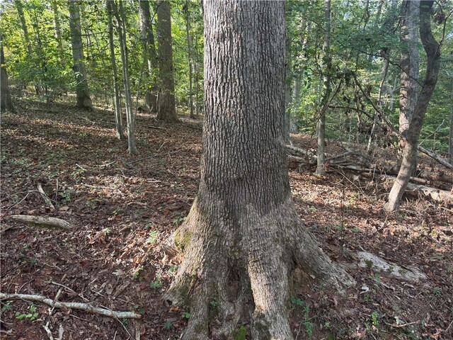 Photo of 499 Acker Road