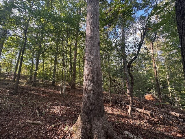 Photo of 499 Acker Road