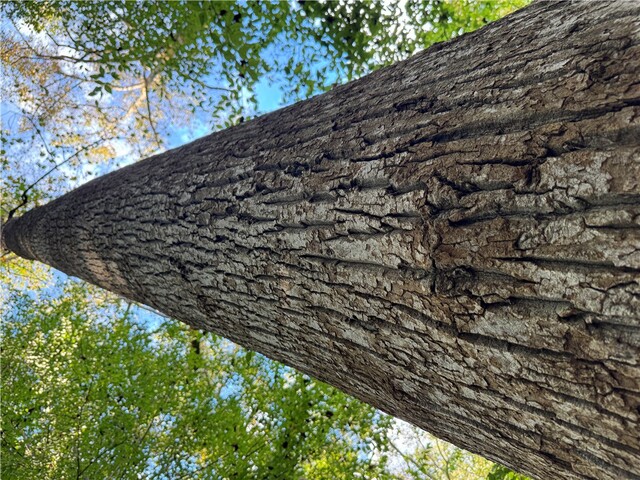 Photo of 499 Acker Road