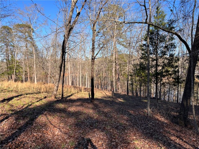 Photo of 117 Melia Lane