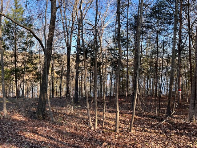 Photo of 117 Melia Lane