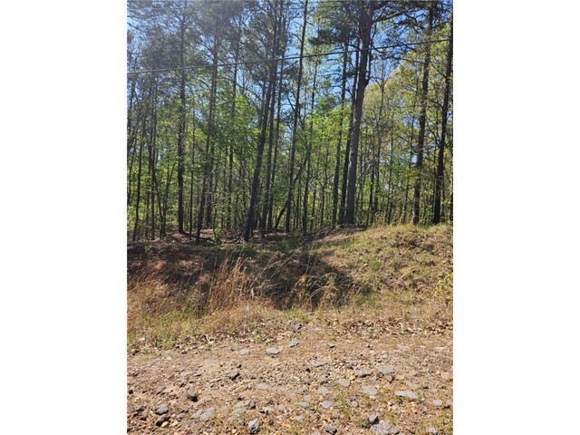 Photo of 310 Blue Ridge Court