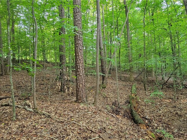 Photo of 00 Point Road