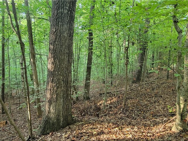 Photo of 00 Point Road