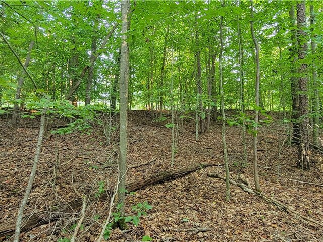 Photo of 00 Point Road