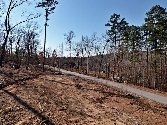 Photo of Lot 22 N Towson Trail