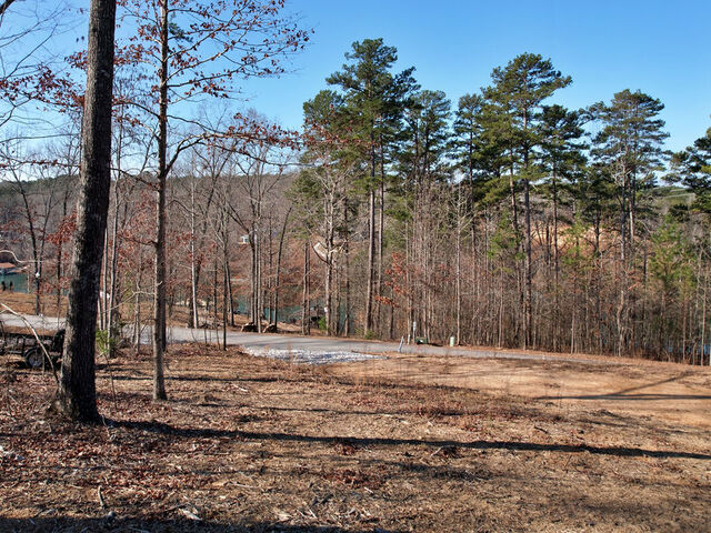 Photo of Lot 22 N Towson Trail