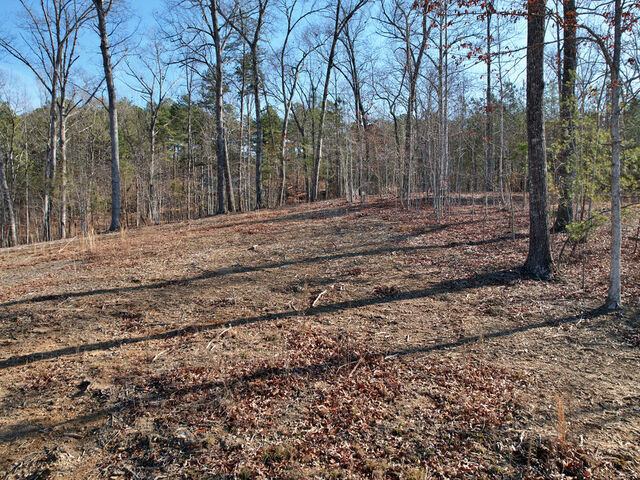 Photo of Lot 22 N Towson Trail