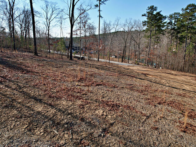 Photo of Lot 22 N Towson Trail