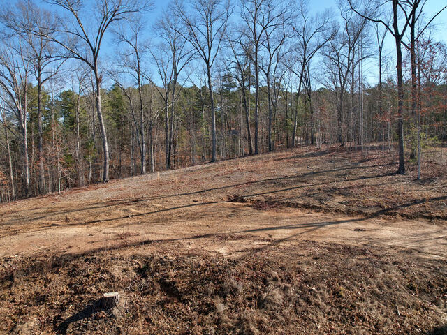 Photo of Lot 22 N Towson Trail