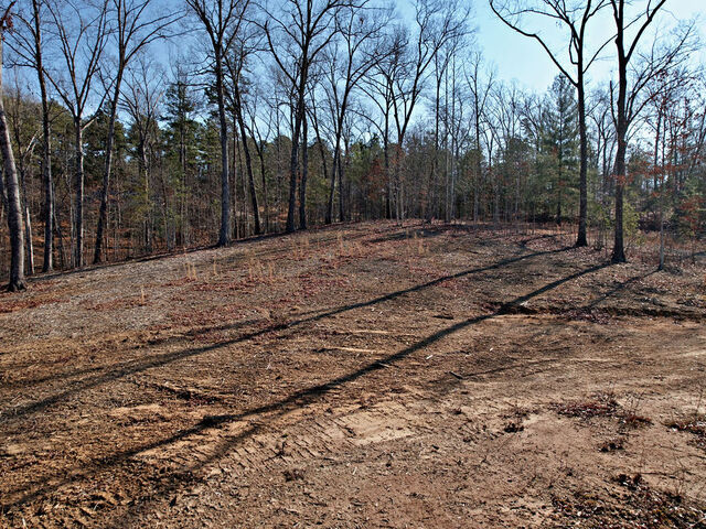 Photo of Lot 22 N Towson Trail