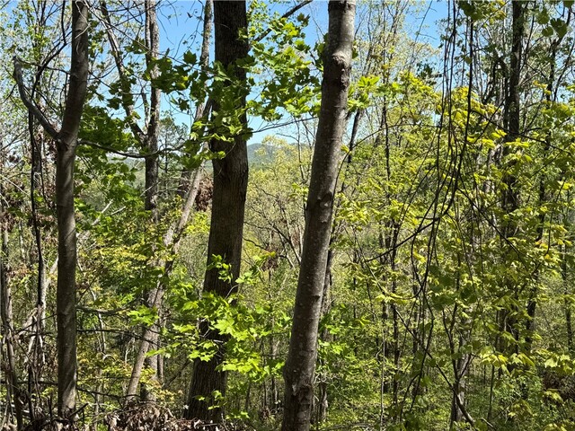 Photo of 113 Stone Creek Court Photo of 113 Stone Creek Court