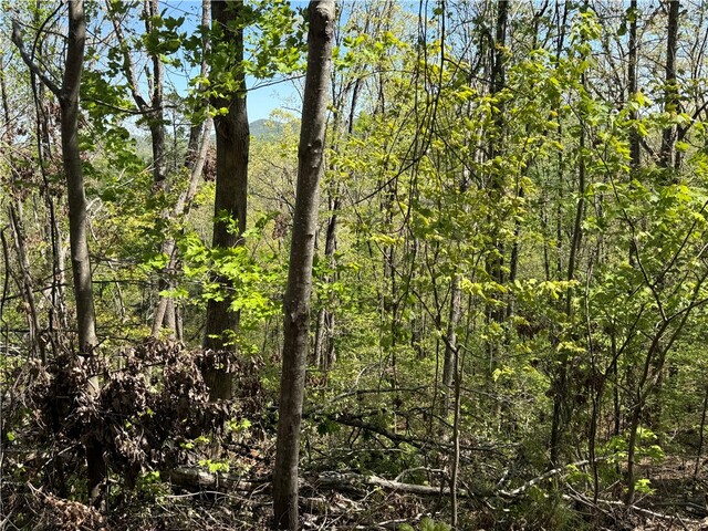 Photo of 113 Stone Creek Court