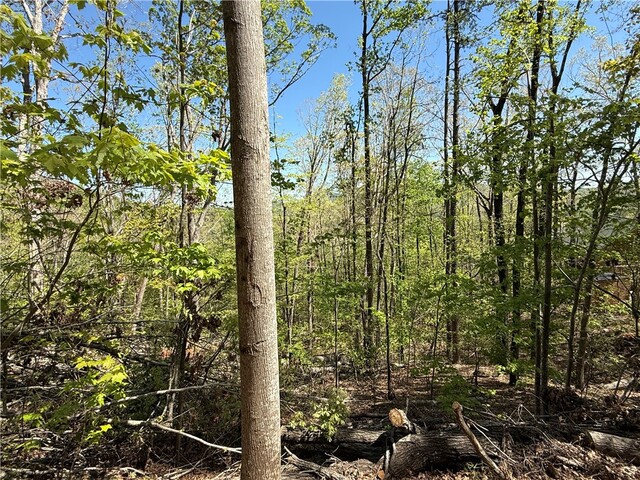 Photo of 113 Stone Creek Court