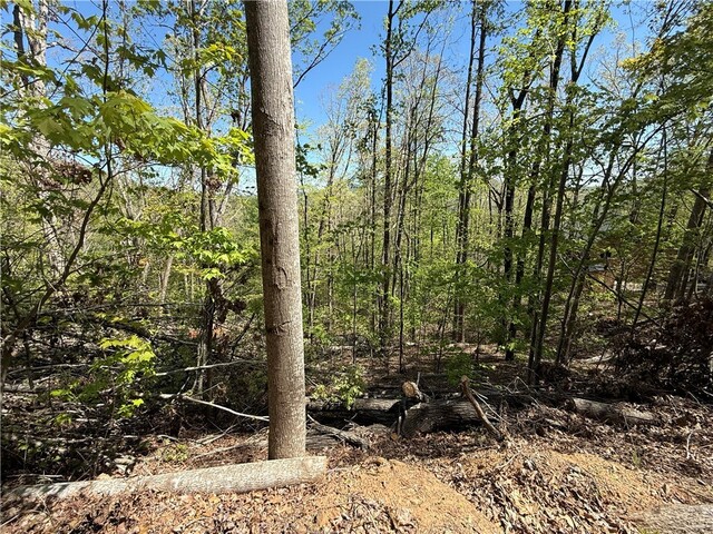 Photo of 113 Stone Creek Court