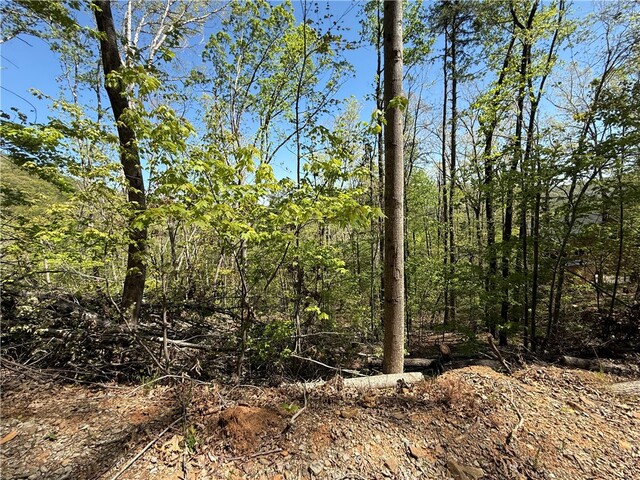 Photo of 113 Stone Creek Court