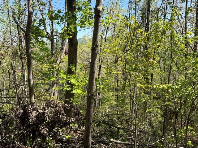 Photo of 113 Stone Creek Court