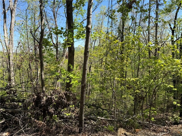 Photo of 113 Stone Creek Court