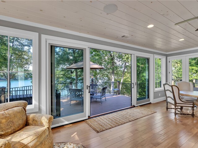 Photo of 422 Pileated Woodpecker