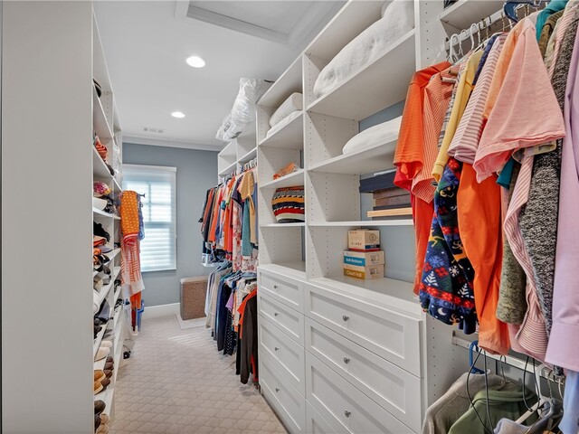 Photo of 422 Pileated Woodpecker