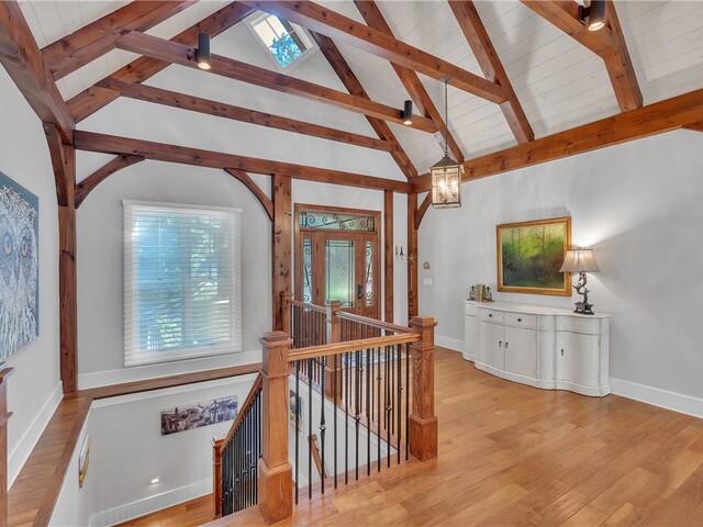 Photo of 422 Pileated Woodpecker