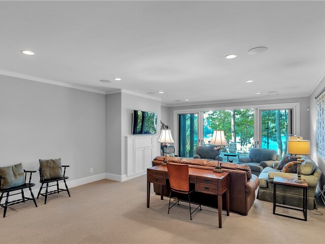 Photo of 422 Pileated Woodpecker