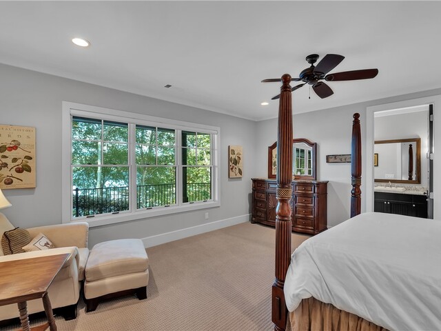 Photo of 422 Pileated Woodpecker