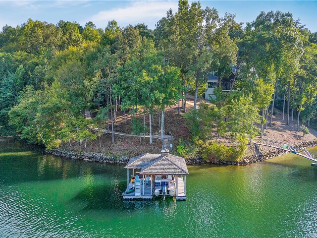 Photo of 422 Pileated Woodpecker
