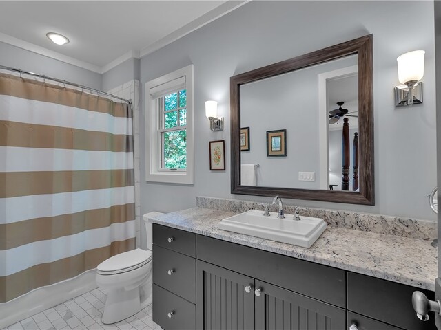 Photo of 422 Pileated Woodpecker