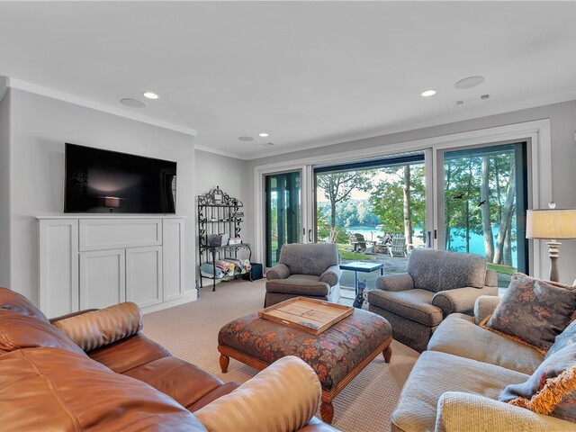 Photo of 422 Pileated Woodpecker