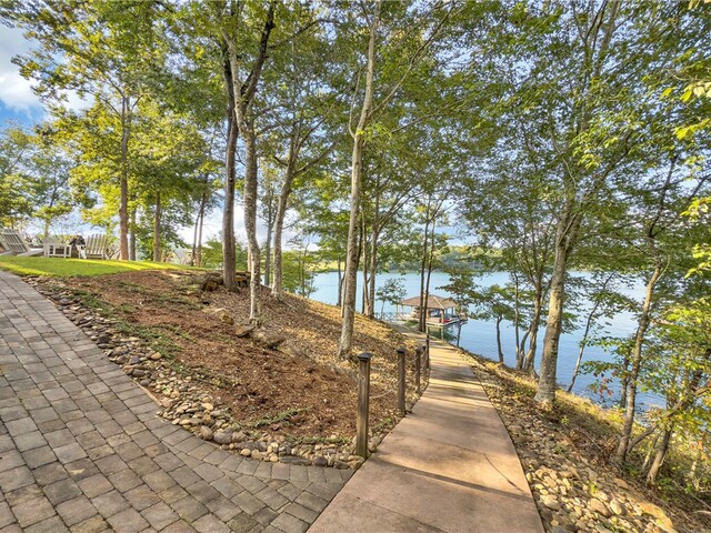 Photo of 422 Pileated Woodpecker