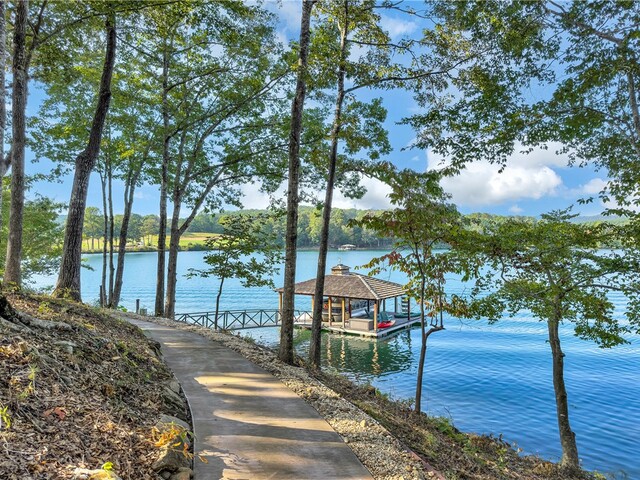 Photo of 422 Pileated Woodpecker